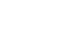 logo mattia white
